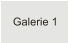 Galerie 1