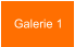 Galerie 1